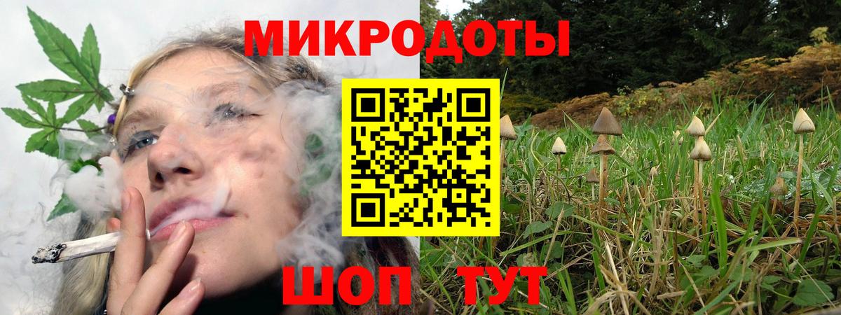 Псилоцибиновые грибы GOLDEN TEACHER  Вход с VPN  Зима 